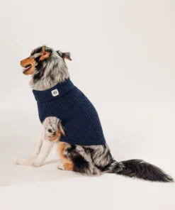 Rodier Pull pour chien bleu marine