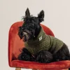 Discount Rodier Pull pour chien vert kaki