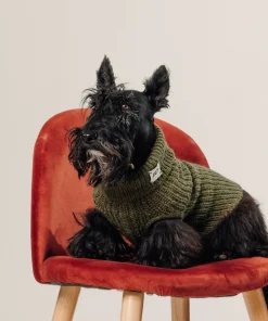 Discount Rodier Pull pour chien vert kaki